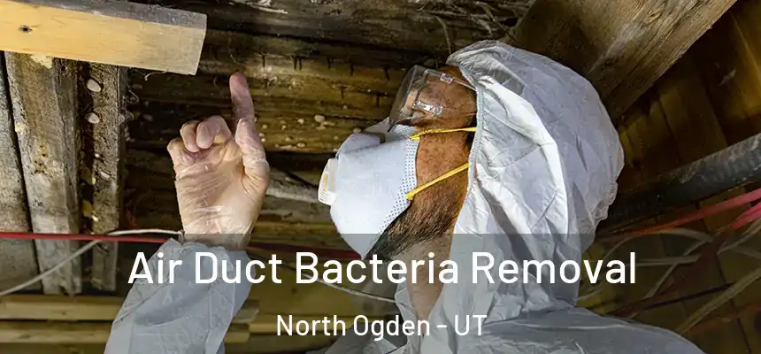  Air Duct Bacteria Removal North Ogden - UT