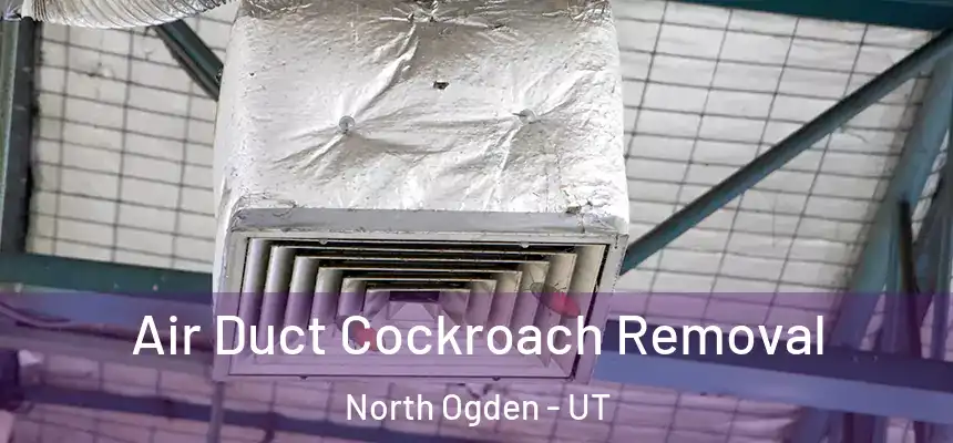  Air Duct Cockroach Removal North Ogden - UT