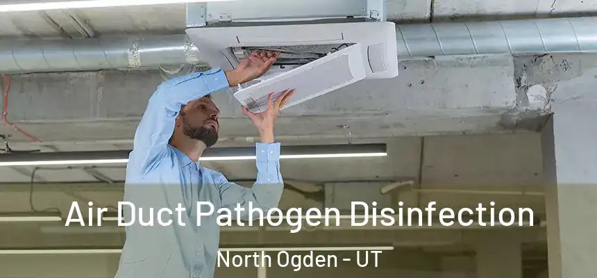  Air Duct Pathogen Disinfection North Ogden - UT