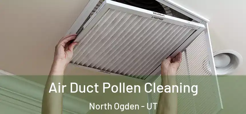  Air Duct Pollen Cleaning North Ogden - UT