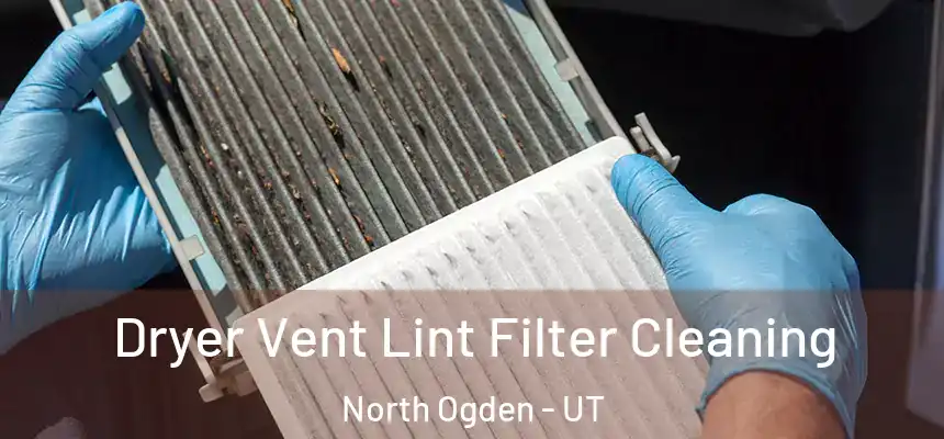  Dryer Vent Lint Filter Cleaning North Ogden - UT