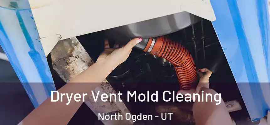  Dryer Vent Mold Cleaning North Ogden - UT