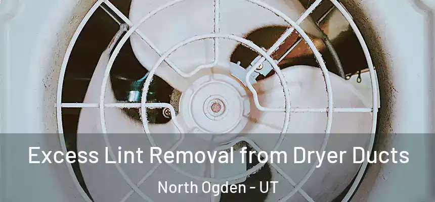  Excess Lint Removal from Dryer Ducts North Ogden - UT