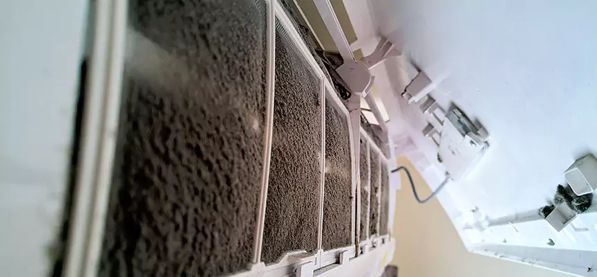 Preventive Air Duct Bacteria Removal in North Ogden