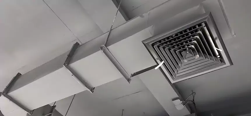 Our Pest Removal From Ducts Services in North Ogden, UT