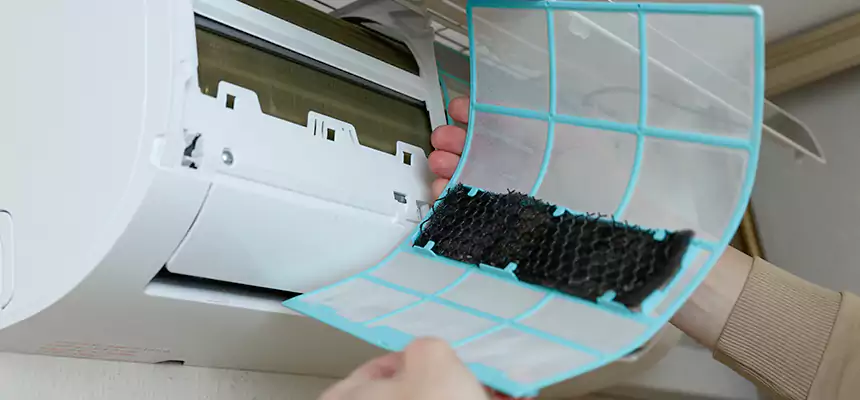 Gentle Ductwork Odor-Control Pet Dander Duct Cleaning in North Ogden, UT