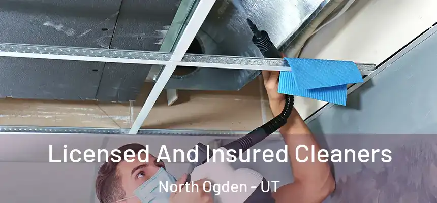  Licensed And Insured Cleaners North Ogden - UT