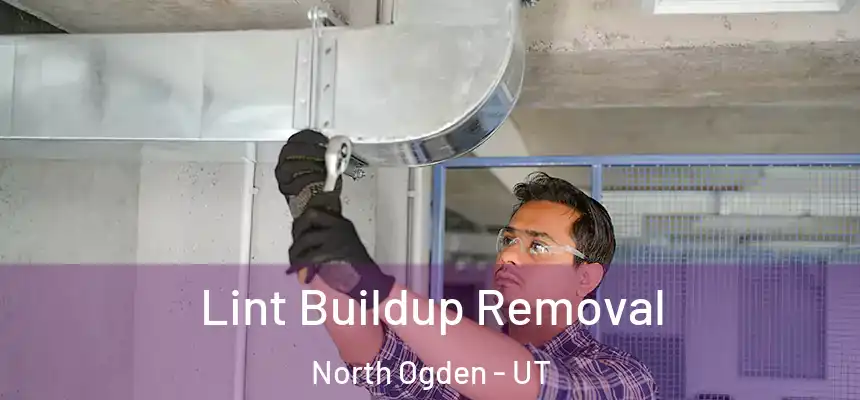  Lint Buildup Removal North Ogden - UT