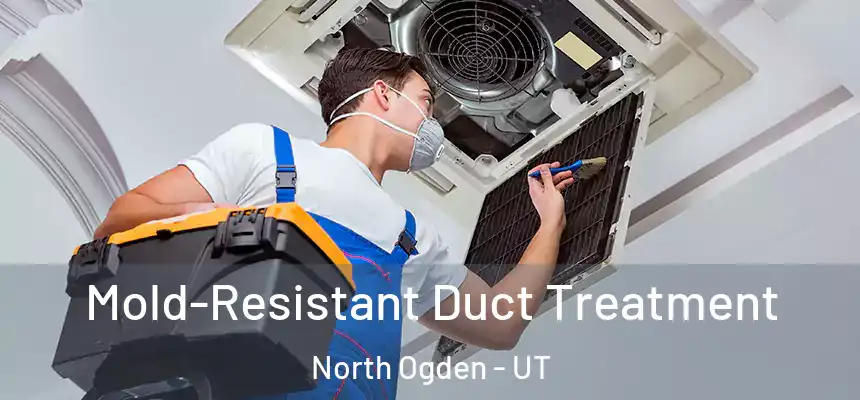  Mold-Resistant Duct Treatment North Ogden - UT