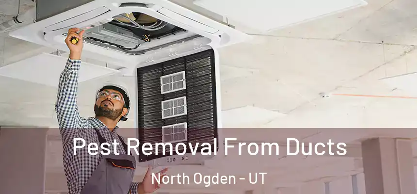  Pest Removal From Ducts North Ogden - UT