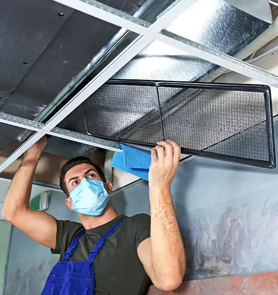 About Air Duct Bacteria Removal in North Ogden