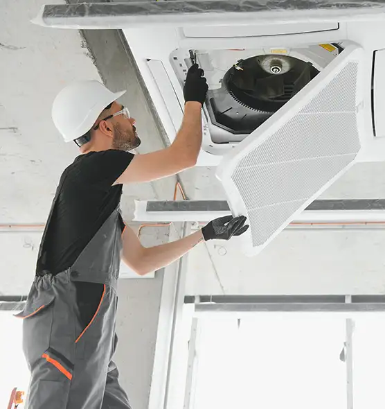 About Air Duct Rodent Removal in North Ogden, UT